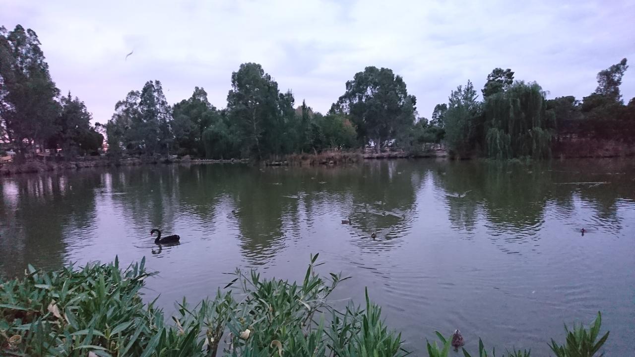 Hostal Restaurante Rufino Berlanga Dış mekan fotoğraf